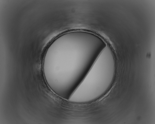 X0000091711167200708240950