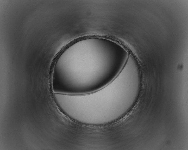X0000091711168200708240950