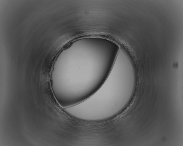 X0000091711169200708240950
