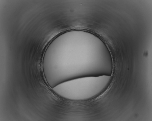 X0000091711170200708240950