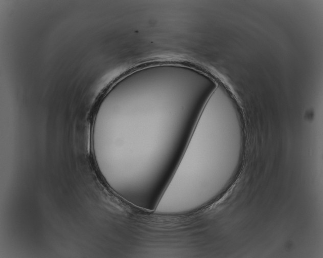 X0000091711171200708240950