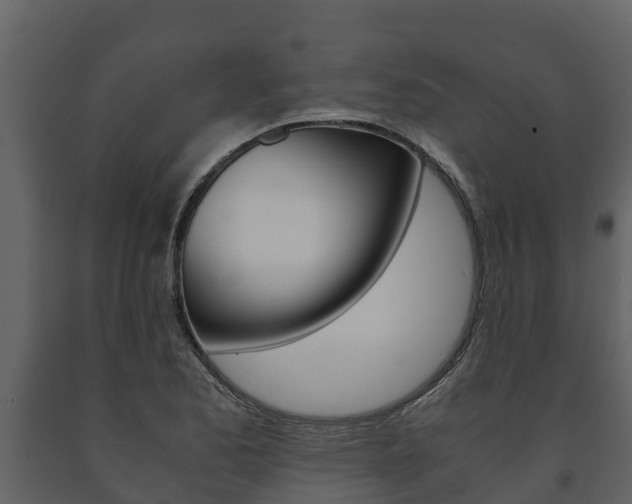 X0000091711173200708240950