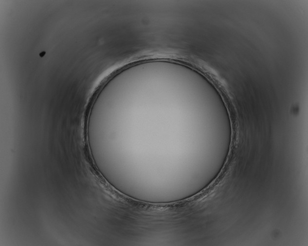 X0000091711174200708240950