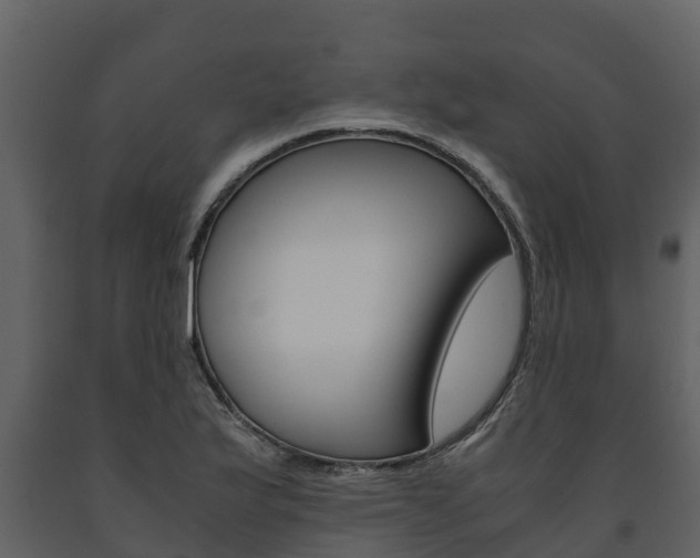 X0000091711175200708240950
