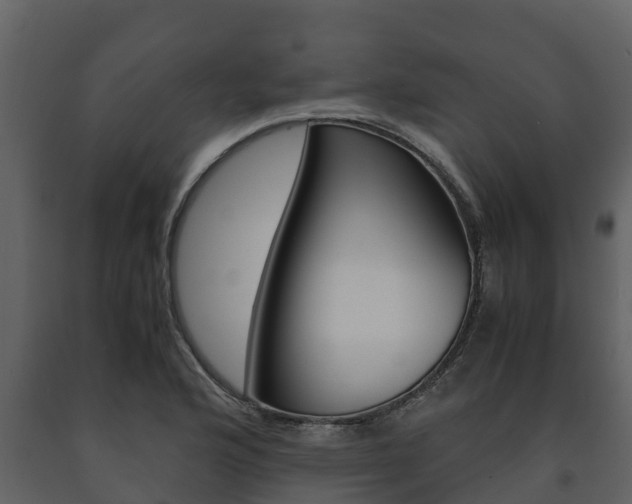 X0000091711176200708240950