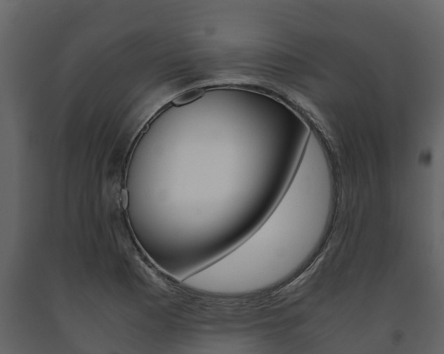 X0000091711177200708240950