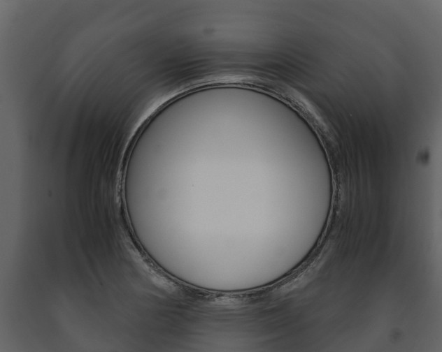 X0000091711178200708240950