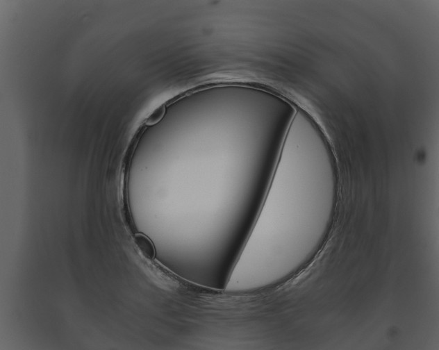 X0000091711179200708240950