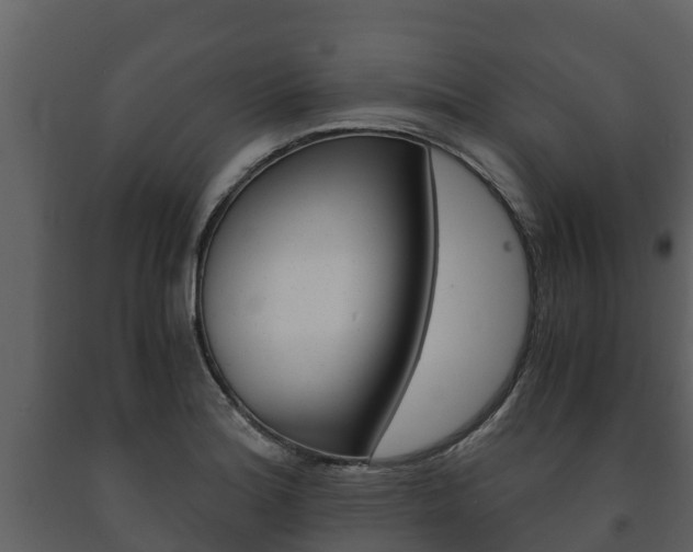 X0000091711180200708240950