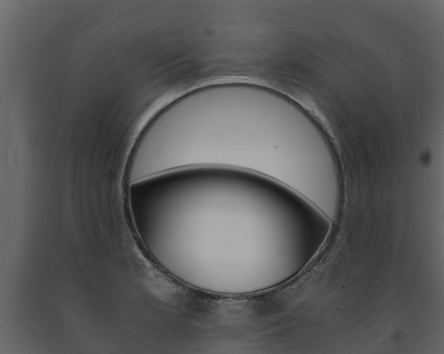 X0000091711181200708240950