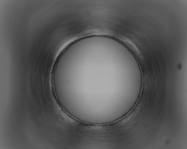 X0000091711182200708240950