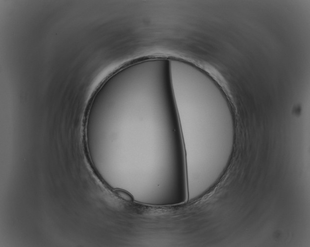 X0000091711183200708240950