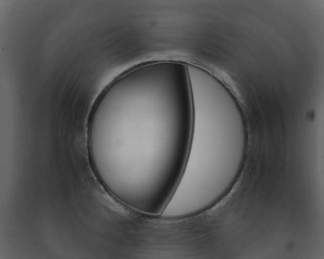 X0000091711184200708240950