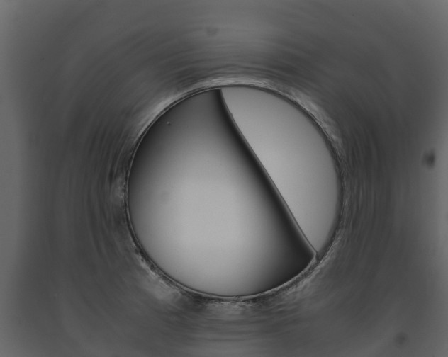 X0000091711185200708240950