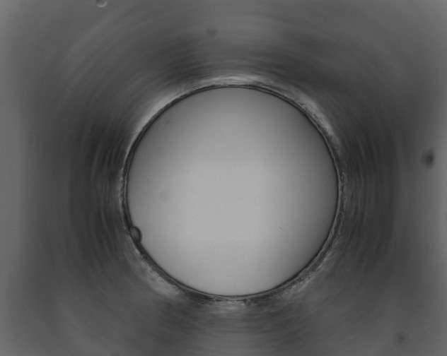 X0000091711186200708240949