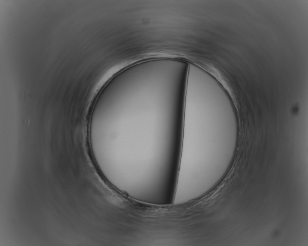 X0000091711187200708240949
