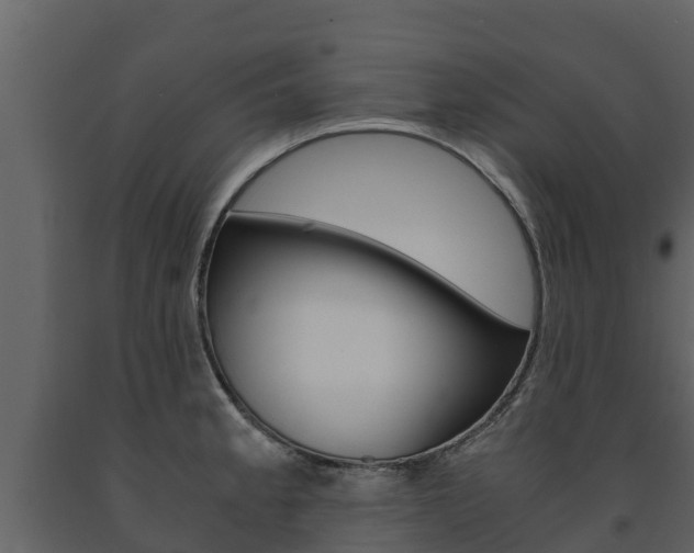 X0000091711189200708240949