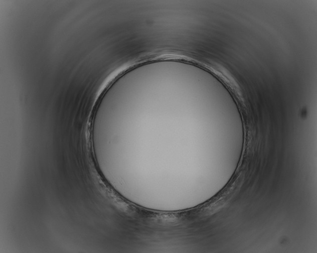 X0000091711190200708240949