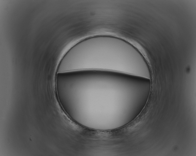 X0000091711191200708240949