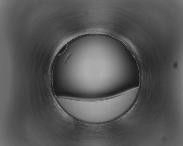 X0000091711192200708240949