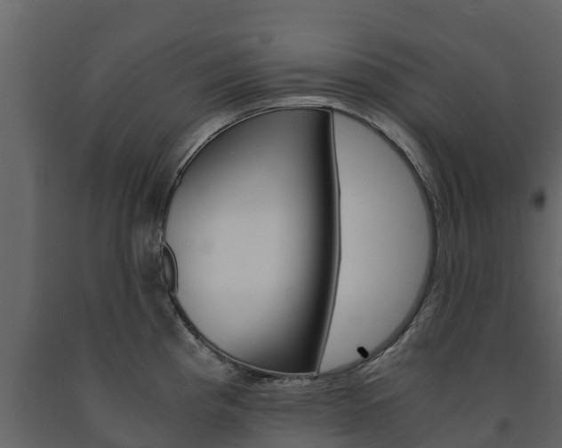 X0000091711193200708240949