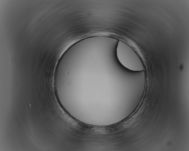 X0000091711194200708240949