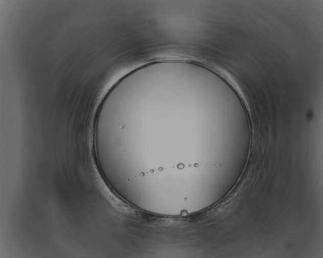 X0000091711195200708240949