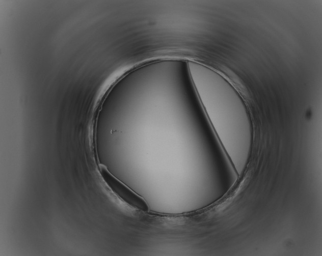 X0000091711196200708240949