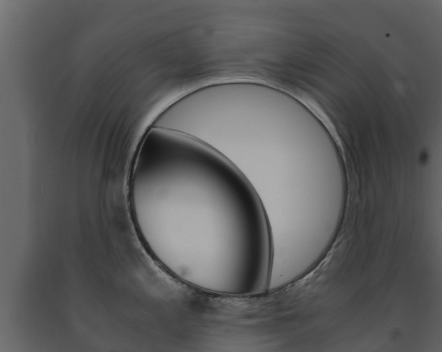 X0000091711197200708240949