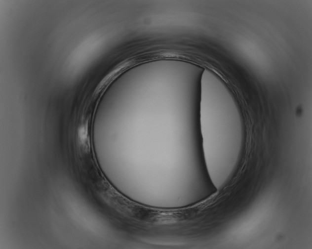 X0000091711198200708240949