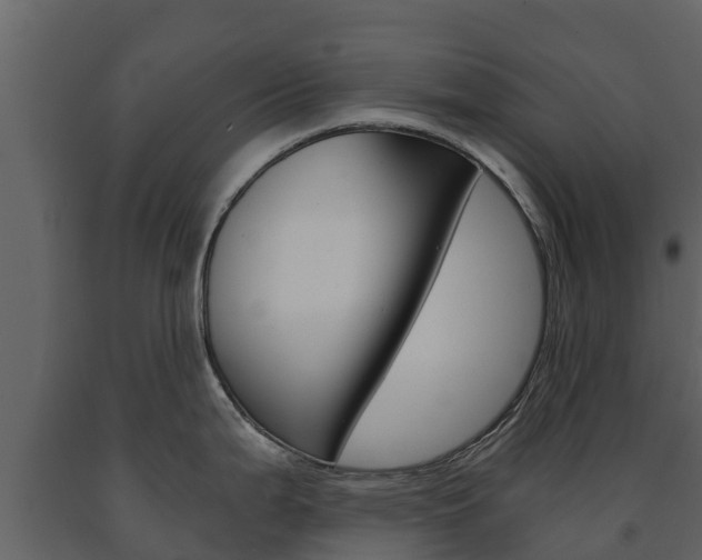 X0000091711199200708240949