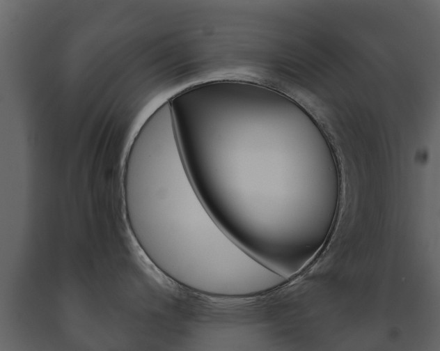 X0000091711200200708240949