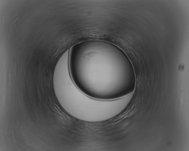 X0000091711202200708240949