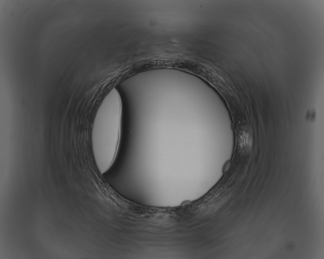 X0000091711204200708240949