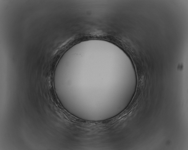 X0000091711205200708240949