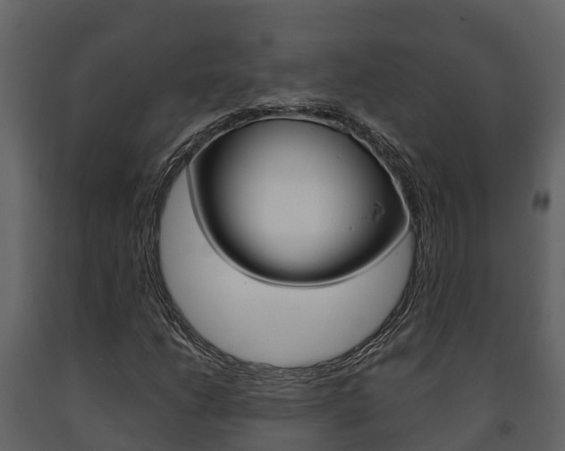 X0000091711206200708240949