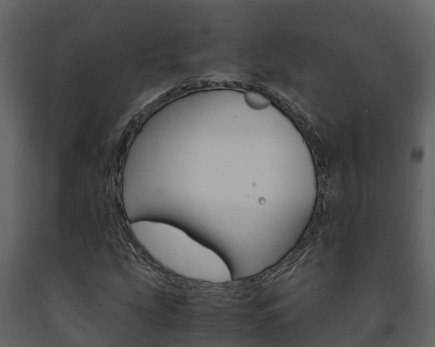 X0000091711207200708240949