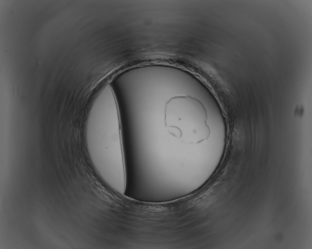 X0000091711209200708240949