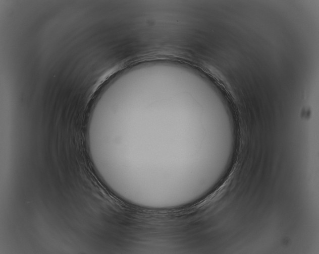 X0000091711210200708240949