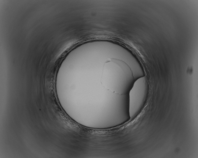 X0000091711211200708240949