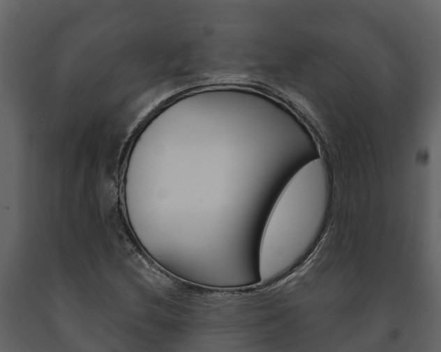 X0000091711212200708240949