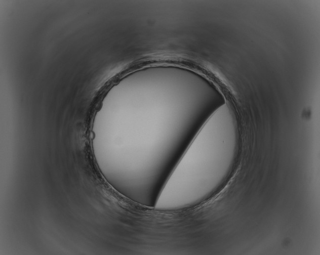 X0000091711213200708240949