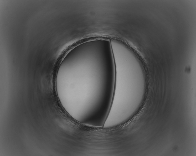 X0000091711214200708240949