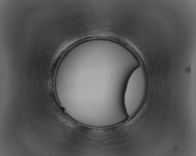 X0000091711215200708240949