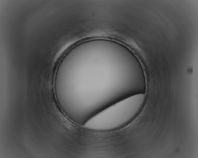 X0000091711216200708240949