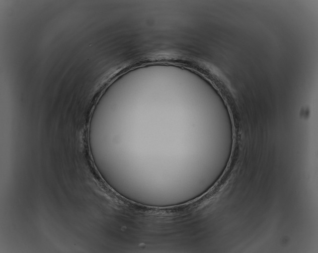 X0000091711217200708240949