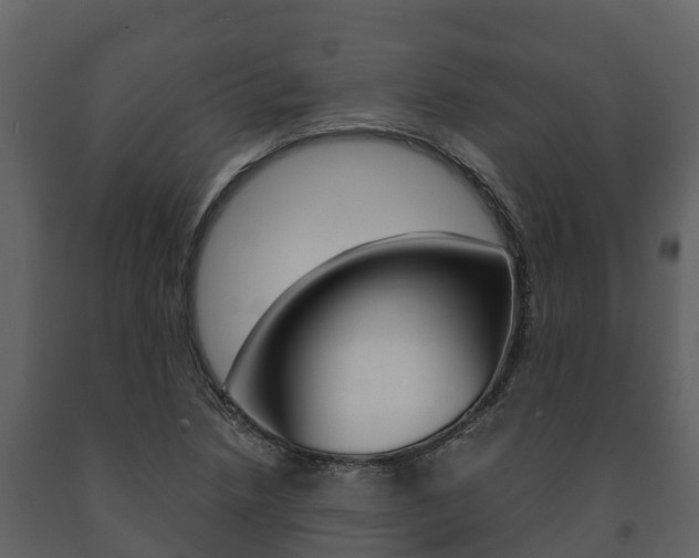 X0000091711218200708240949