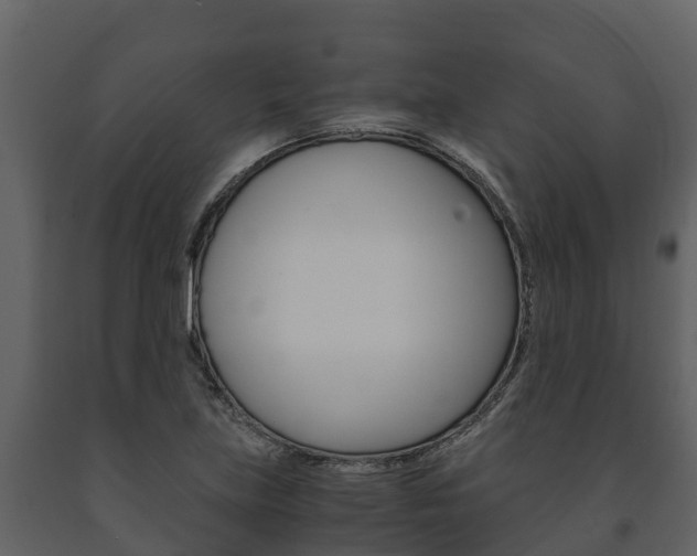 X0000091711219200708240949