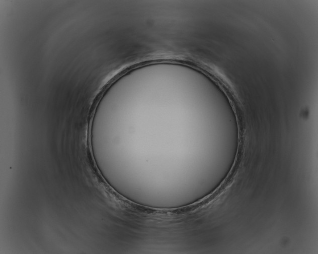 X0000091711220200708240949