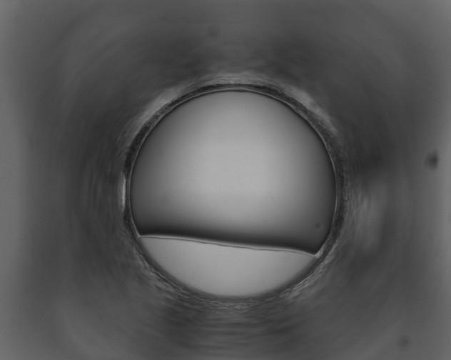 X0000091711221200708240949